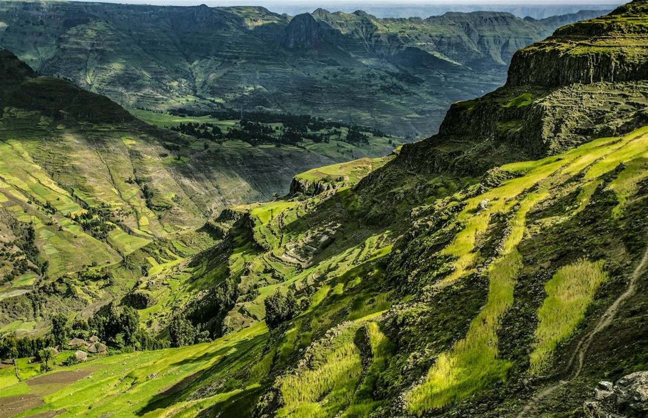 Terrace farming and reforestation in the Ethiopian highlands