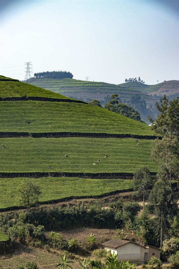 Community-led land restoration and soil conservation site