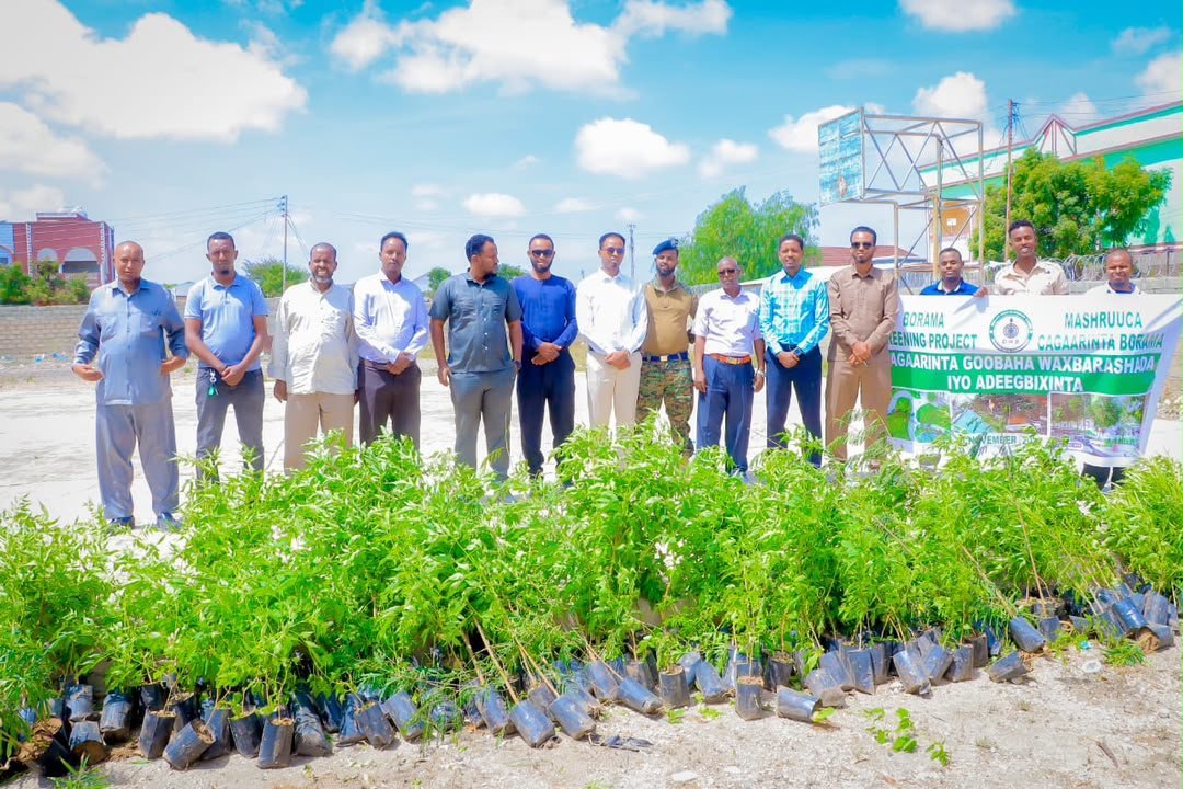 District officials and project team standing behind rows of seedlings at the Borama greening project launch