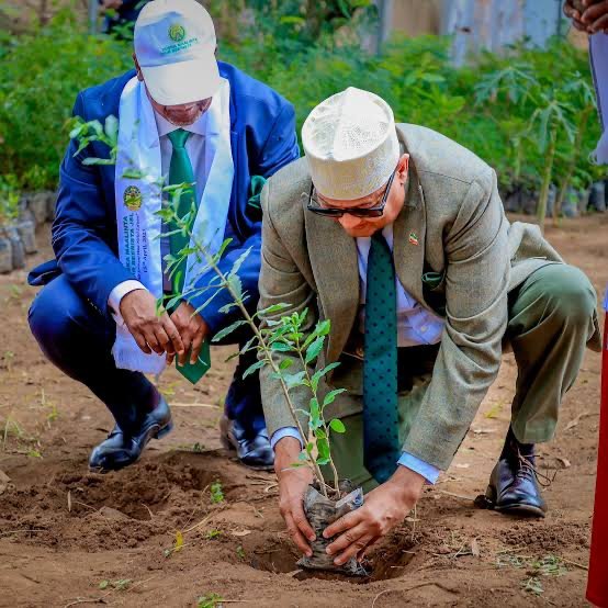 Somaliland's President planting a seedling at the national tree planting launch